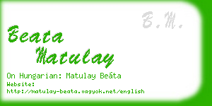 beata matulay business card